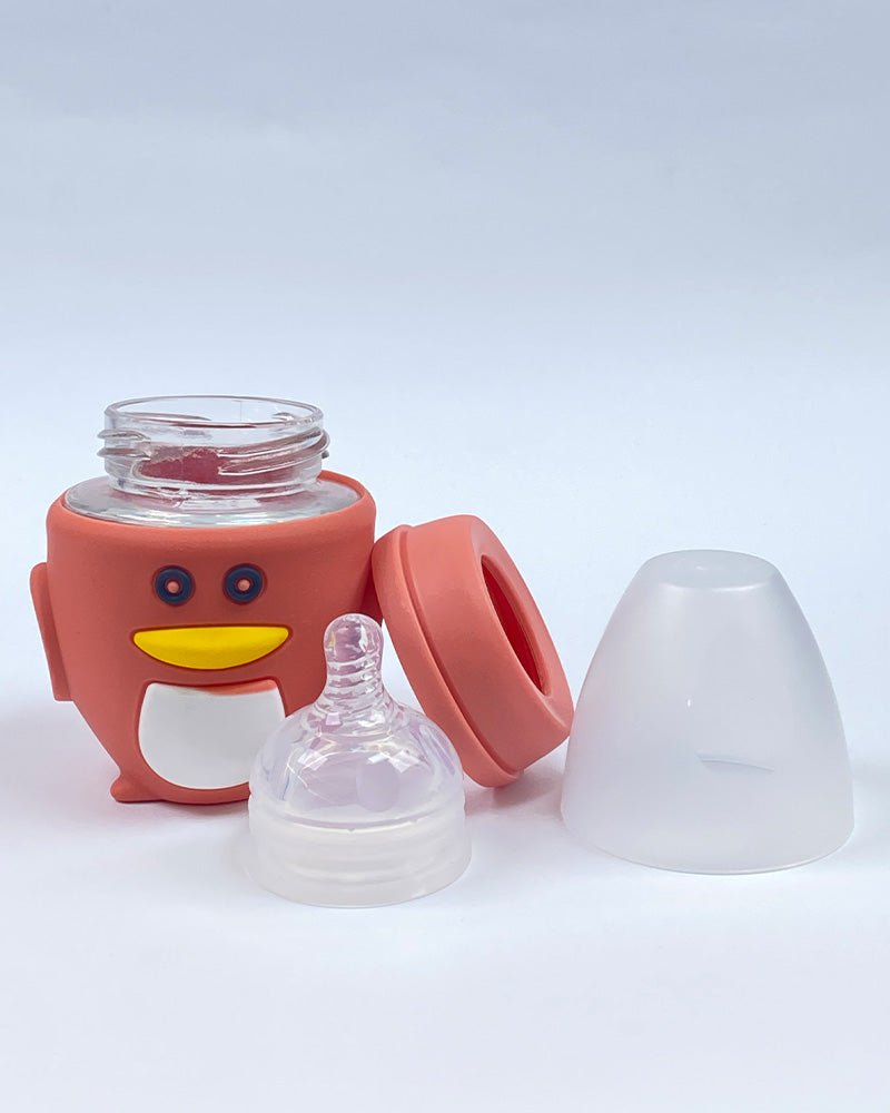 Baby Glass Feeder With Beautiful Silicone Cover - 120ml