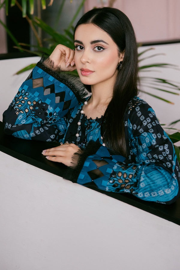 Nureh Printed And Embroidered Chikankari Lawn 2pc - Summer