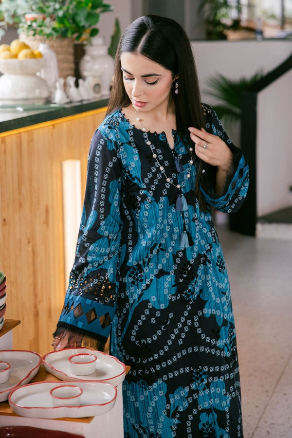 Nureh Printed And Embroidered Chikankari Lawn 2pc - Summer