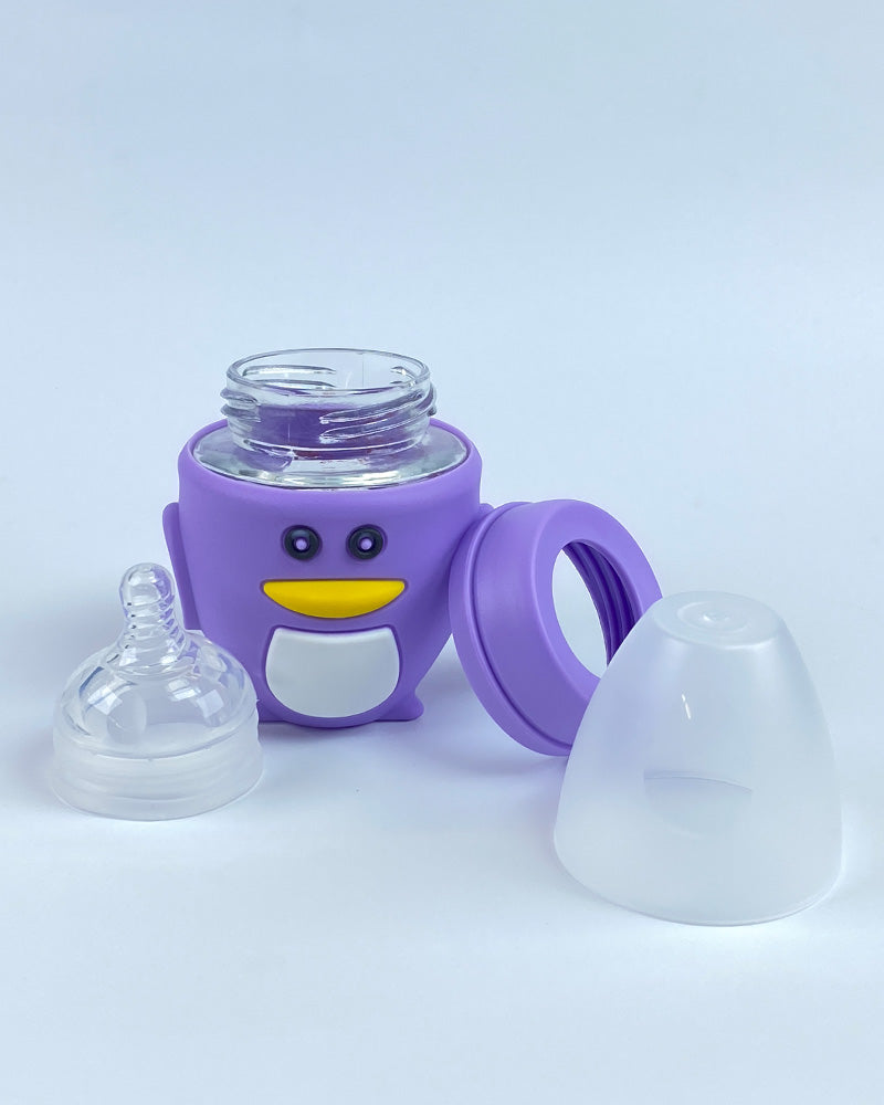 Baby Glass Feeder With Beautiful Silicone Cover - 120ml