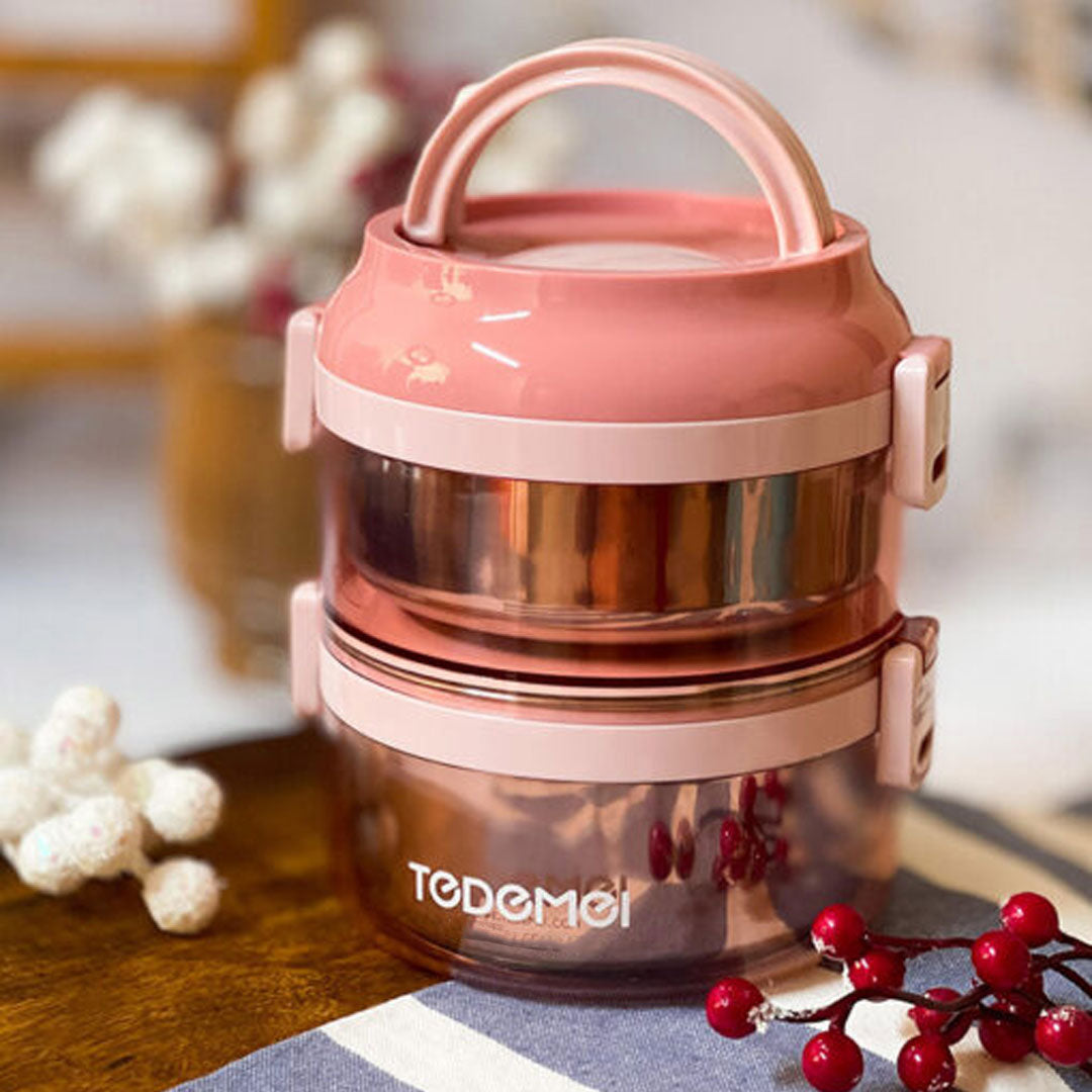 TEDEMEI Double Layer Stainless Steel Lunch Box with Handle