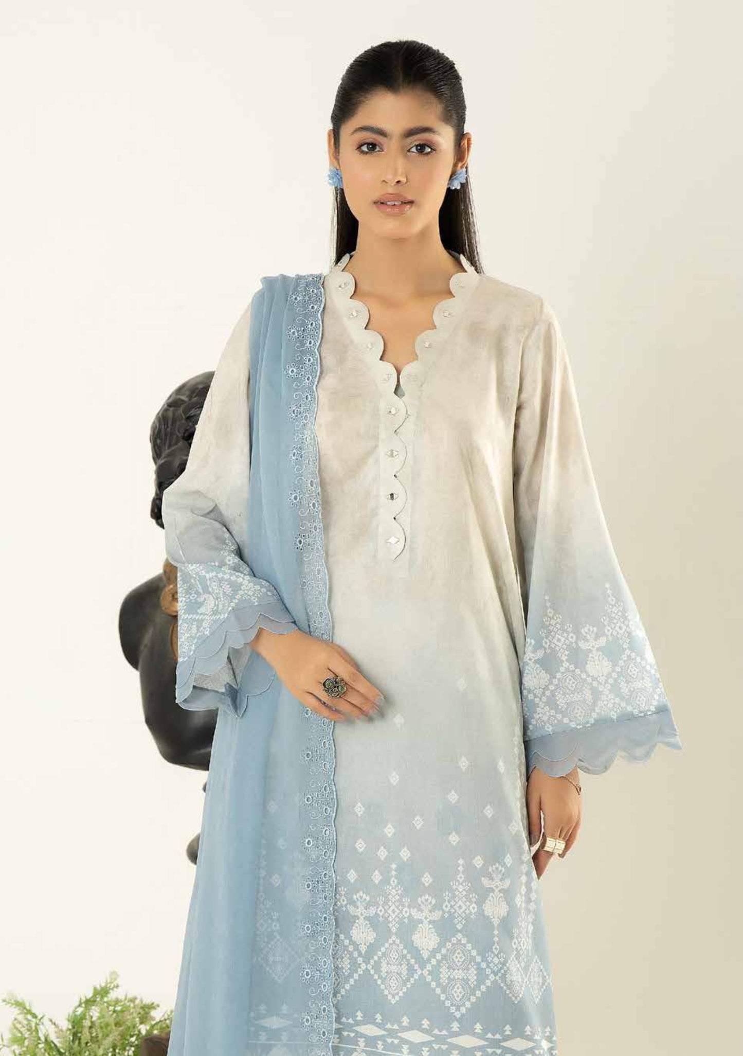 Ladies Unstitched Chikankari Lawn Afreen By Riaz Arts Collection