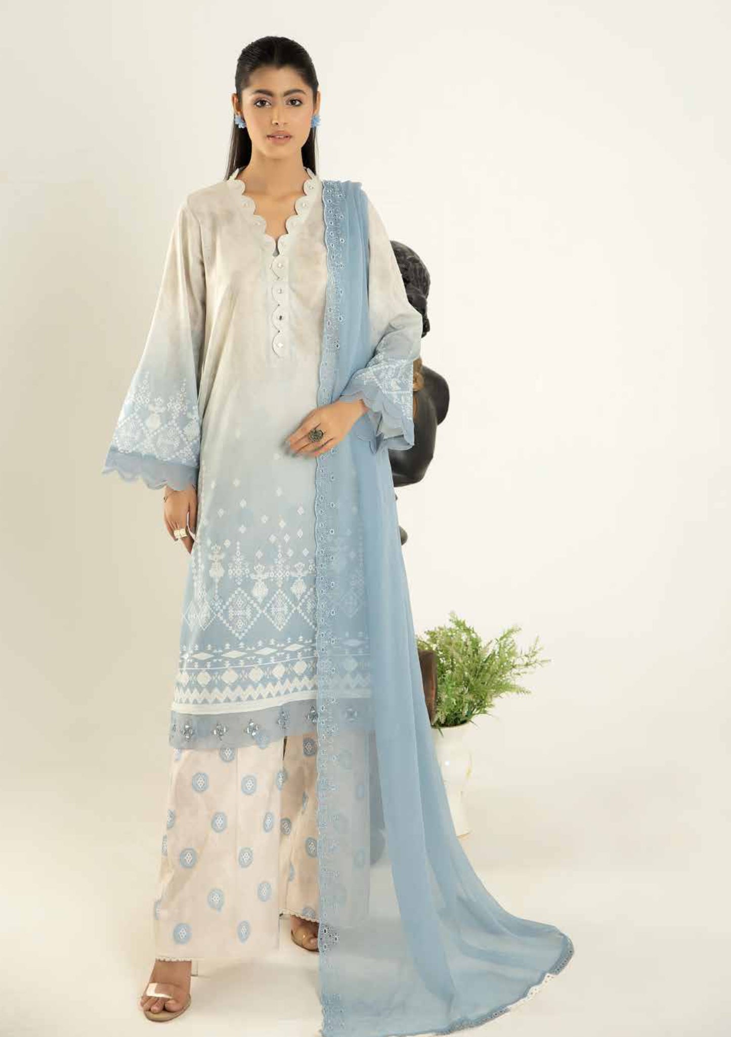 Ladies Unstitched Chikankari Lawn Afreen By Riaz Arts Collection