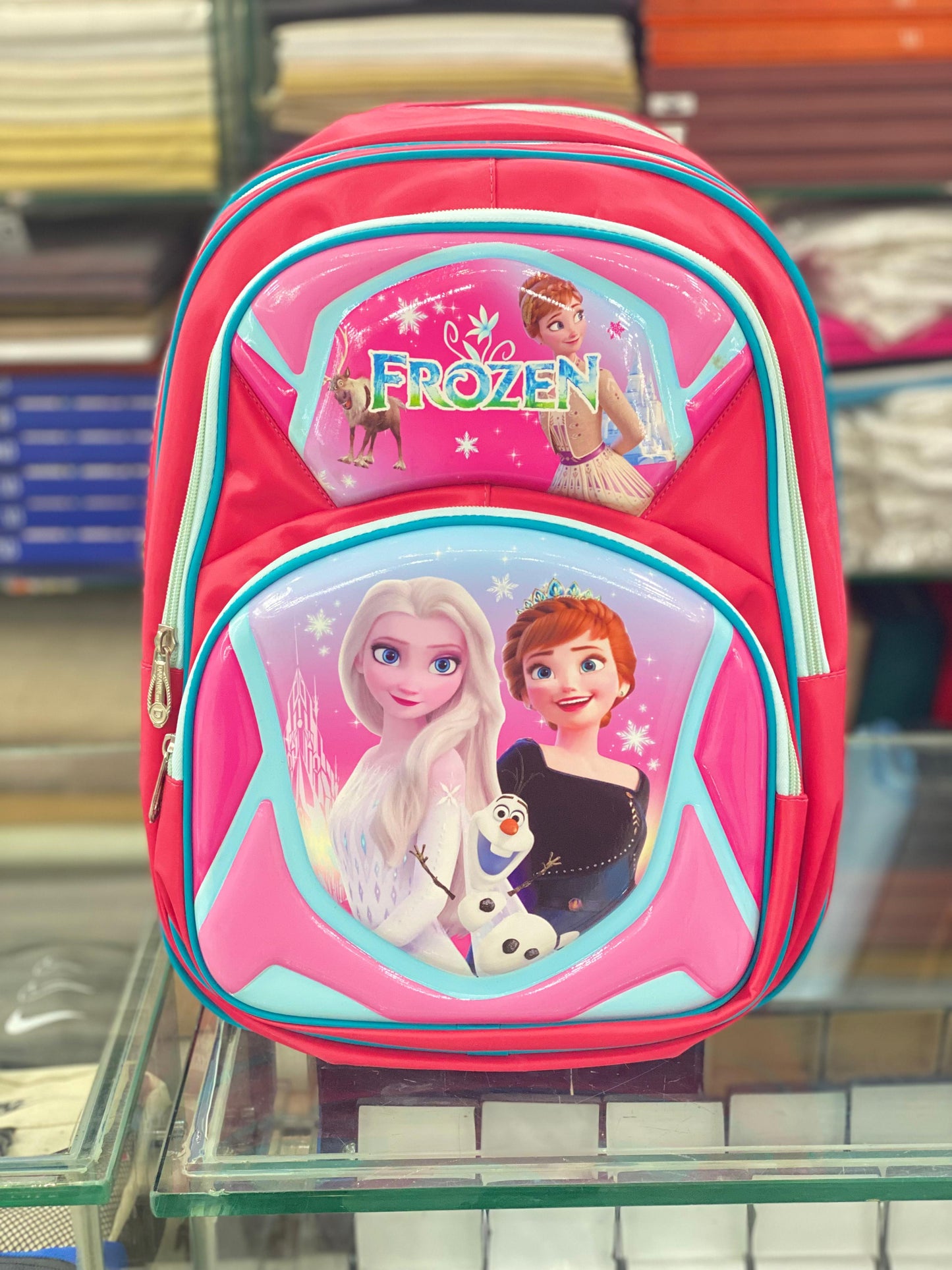 Frozen Functional School Bag