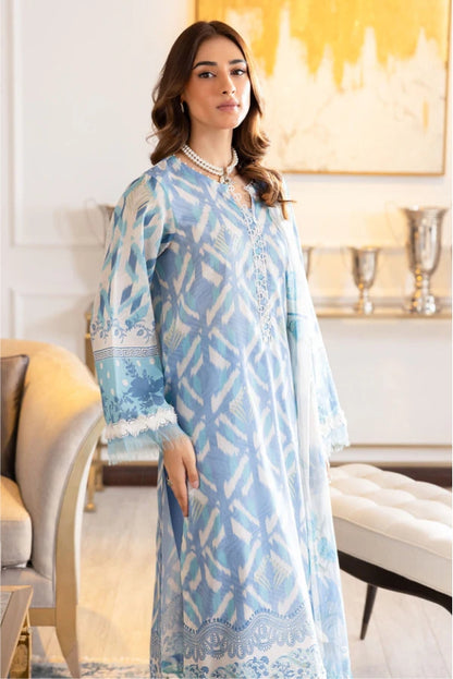 Ladies Printed And Embroidered Lawn Suit By Nureh