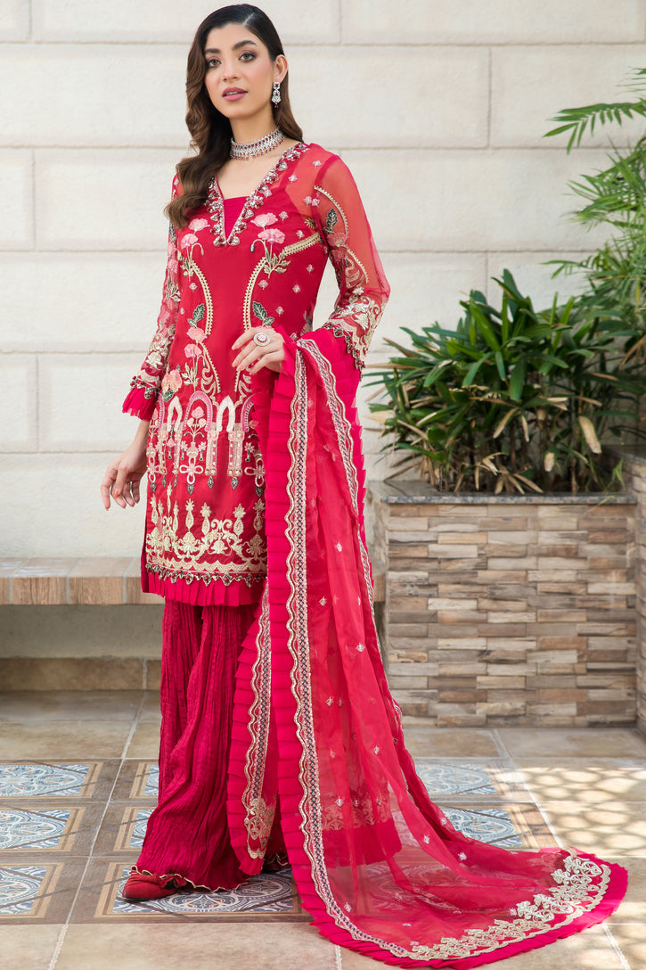 Ladies EMBROIDERED Organza fancy Suit by Raikhta