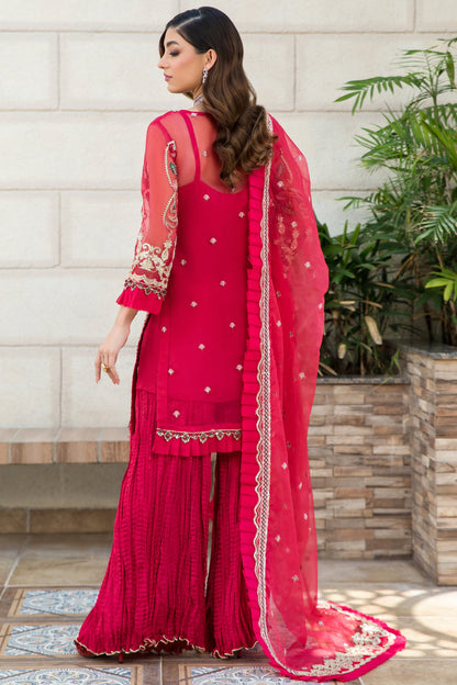 Ladies EMBROIDERED Organza fancy Suit by Raikhta