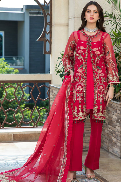 Ladies EMBROIDERED Organza fancy Suit by Raikhta